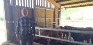 revitalizacija stočarstva u lici natura beef