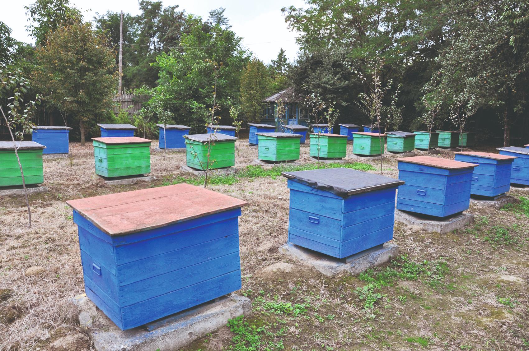 slika 1 shutterstock_1074522521