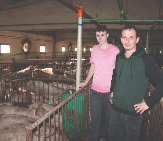 Nije mi žao ni dana što imam svoju farmu! Vjeko ima farmu