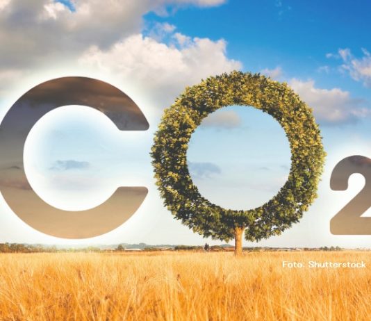 klimatska budućnost svijeta cop 28