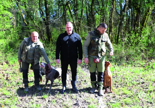 Potraga za skrivenim blagom