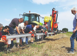 Dobar savjet(nik) zlata vrijedi – Ivica Prpić