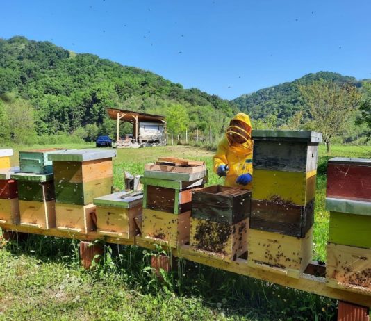 utjecaj pesticida na pčela pčele i pesticidi