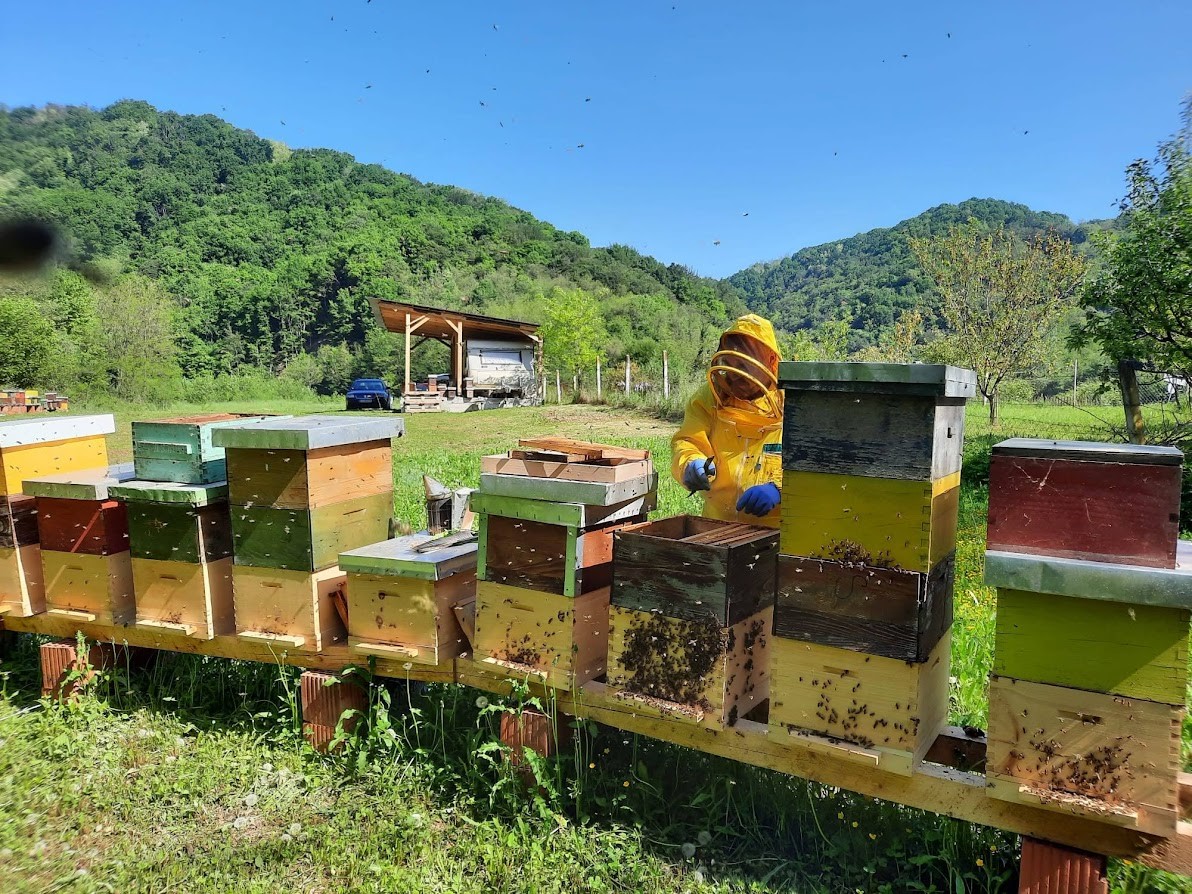 utjecaj pesticida na pčela pčele i pesticidi
