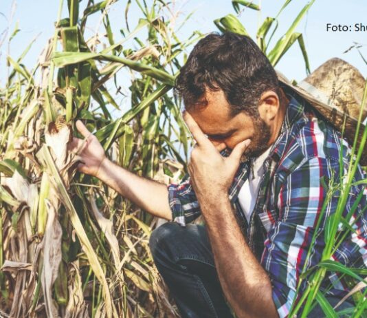 utjecaj vremenskih prilika na cijene ratarskih kutura