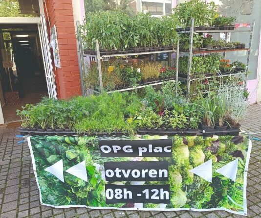 OPG plac – mini tržnice u zagrebačkim mjesnim odborima