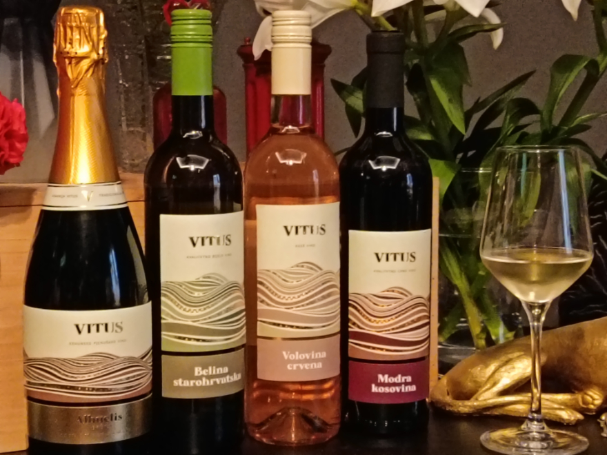 Kušanje vina vinarije Vitus od autohtonih zagorskih sorata