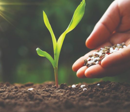 pojedinačna dušična gnojiva