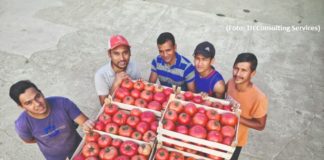 radna snaga u poljoprivredi nepalci