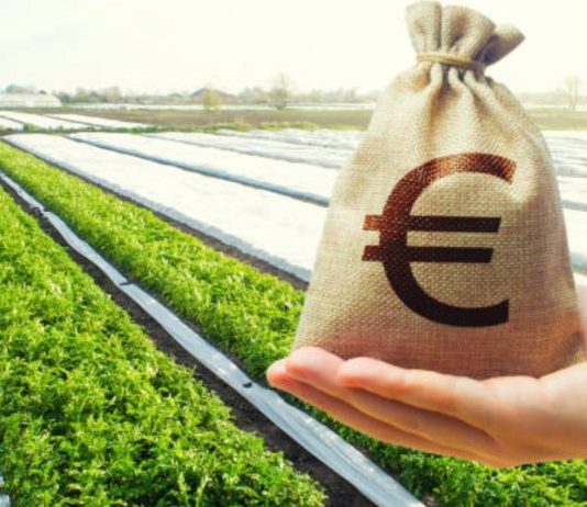 Koji su prvi natječaji iz Strateškog plana u 2023. godini? natječaji iz strateškog plana