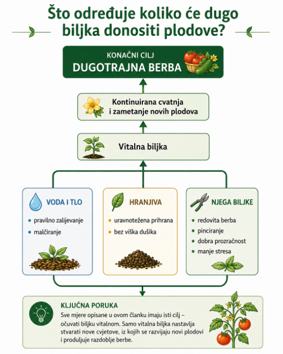 Infografika s pregledom mjera za produljenje berbe povrća
