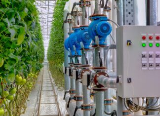 Koliko kilovata treba za kilogram povrća?