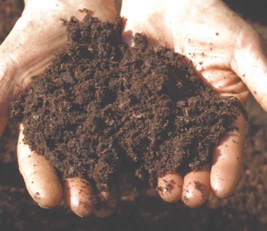 Što novi Zakon donosi? raspolaganje državnim poljoprivrednim zemljištem državno poljoprivredno zemljište novi zakon marijaan petir kristijan puškarić