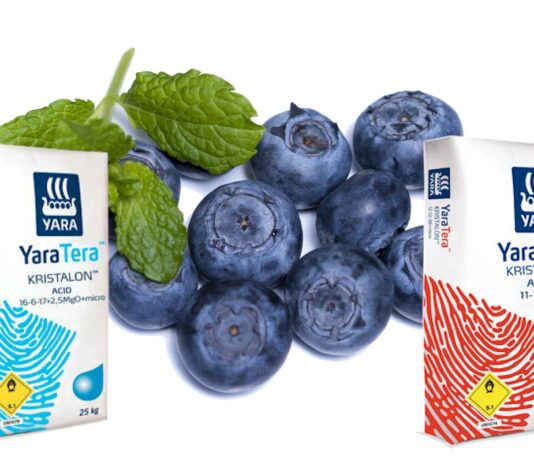 Yara Kristalon- visoki standard u naprednoj ishrani bilja