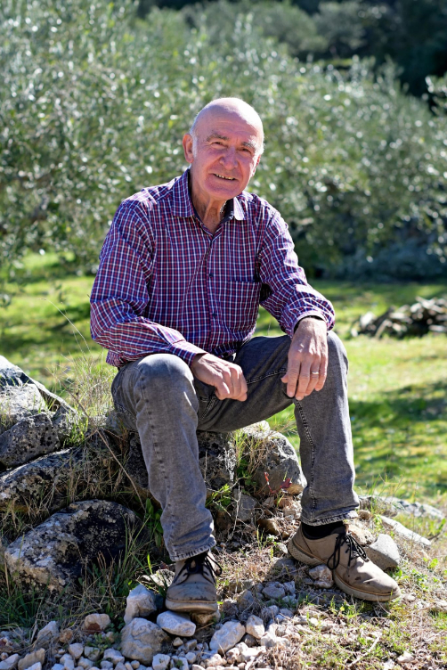 Stanislav Štambuk o budućnosti maslinarstva u Hrvatskoj