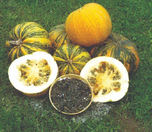 proizvodnja nerafiniranih ulja prešanjem