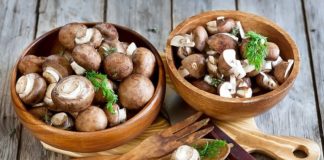 korist gljiva gljive u prehrani