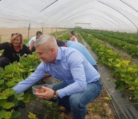 Voćari i povrćari se trebaju više udruživati