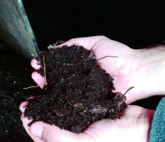 Da li je glistinac  bolji od stajnjaka?