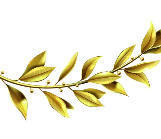 priznanja za kvalitetu oznake za kvalitetu