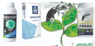 Hraniva i biostimulatori koji su biljci potrebni