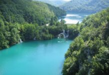 Očuvanje šuma i voda preduvjet je zaštite nacionalne sigurnosti