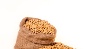 zabranu korištenja genetski modificiranog sjemena soje izravne potpore poljoprivredi