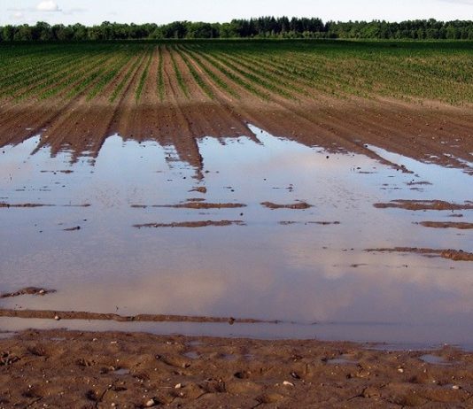 saniranje šteta od tuče i poplava