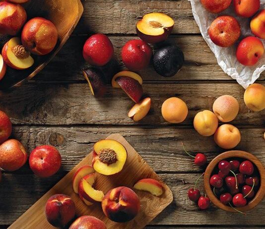 Isplativ uzgoj koštičavog voća