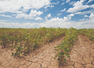 mjere borbe protiv suše suša