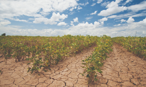 mjere borbe protiv suše suša