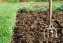 popravak tla za uzgoj povrća