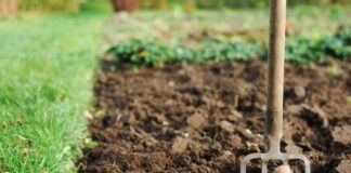 popravak tla za uzgoj povrća