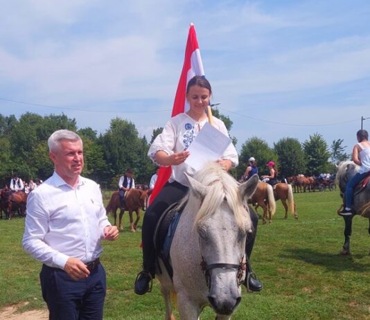 državna konjogojska izložba