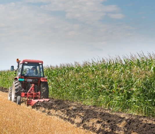 potpora malim poljoprivrednicima