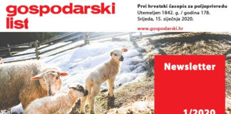 Newsletter 01/2020
