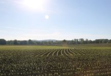 zakup poljoprivrednog zemljišta