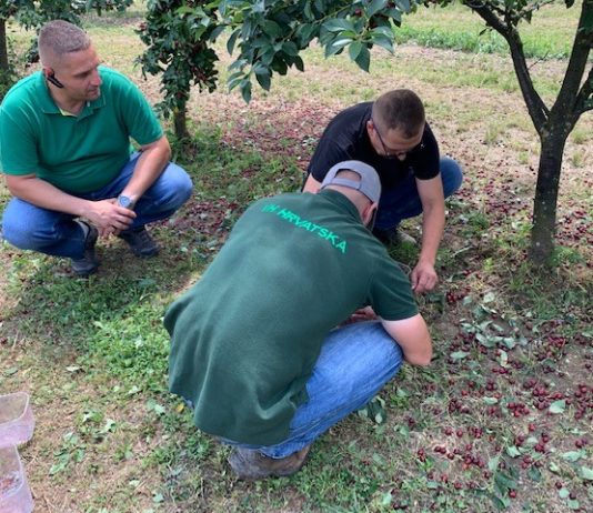 vh hrvatska štete od tuče