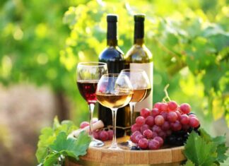 Mogućnosti poboljšanja voćnih vina