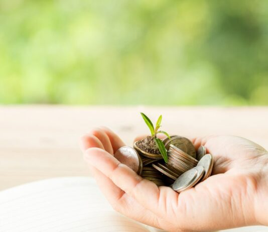 U Nacionalnom planu oporavka i otpornosti osiguran novac za 7 distributivnih centara za voće i povrće U Nacionalnom planu oporavka i otpornosti osiguran novac za 7 distributivnih centara za voće i povrće