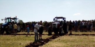 natjecanja u oranju traktorima i volovskim zapregama