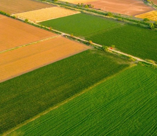 289 javnih natječaja za zakup poljoprivrednog zemljišta i u pripremi još 65 zakup poljoprivrednog zemljišta