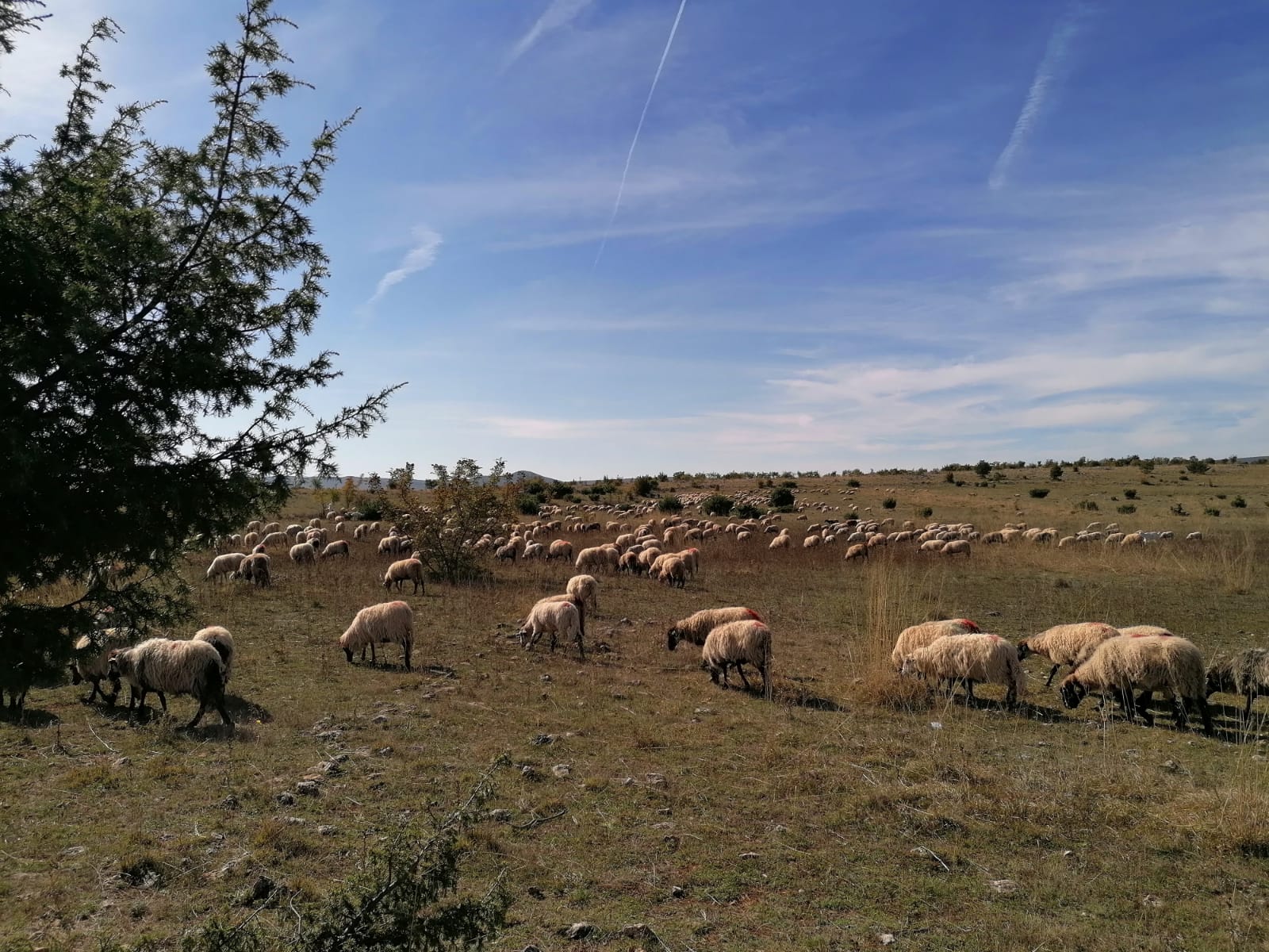 Incijativa 'Živo selo' za prehrambenu suverenost